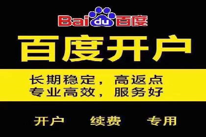 百度搜索推广案例集锦：实战技巧分享